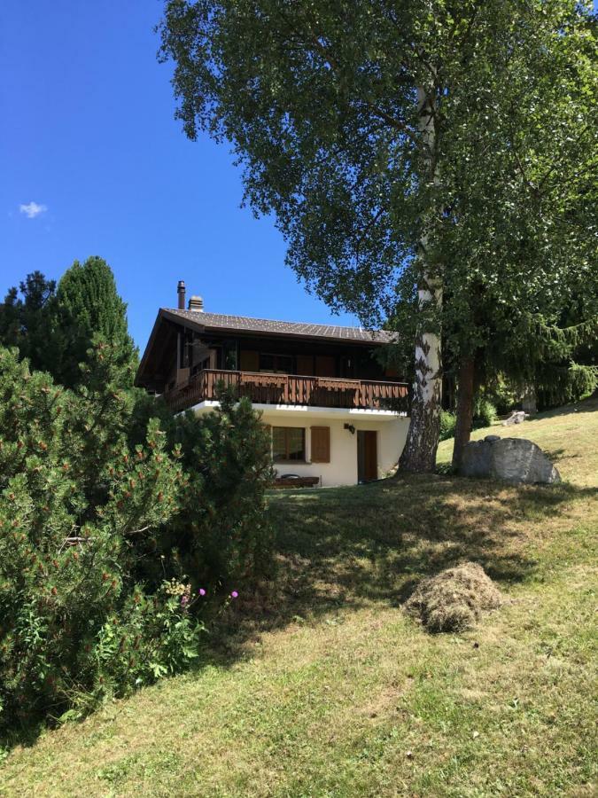 Ferienwohnung Im Chalet Firn - Og Burchen Ngoại thất bức ảnh